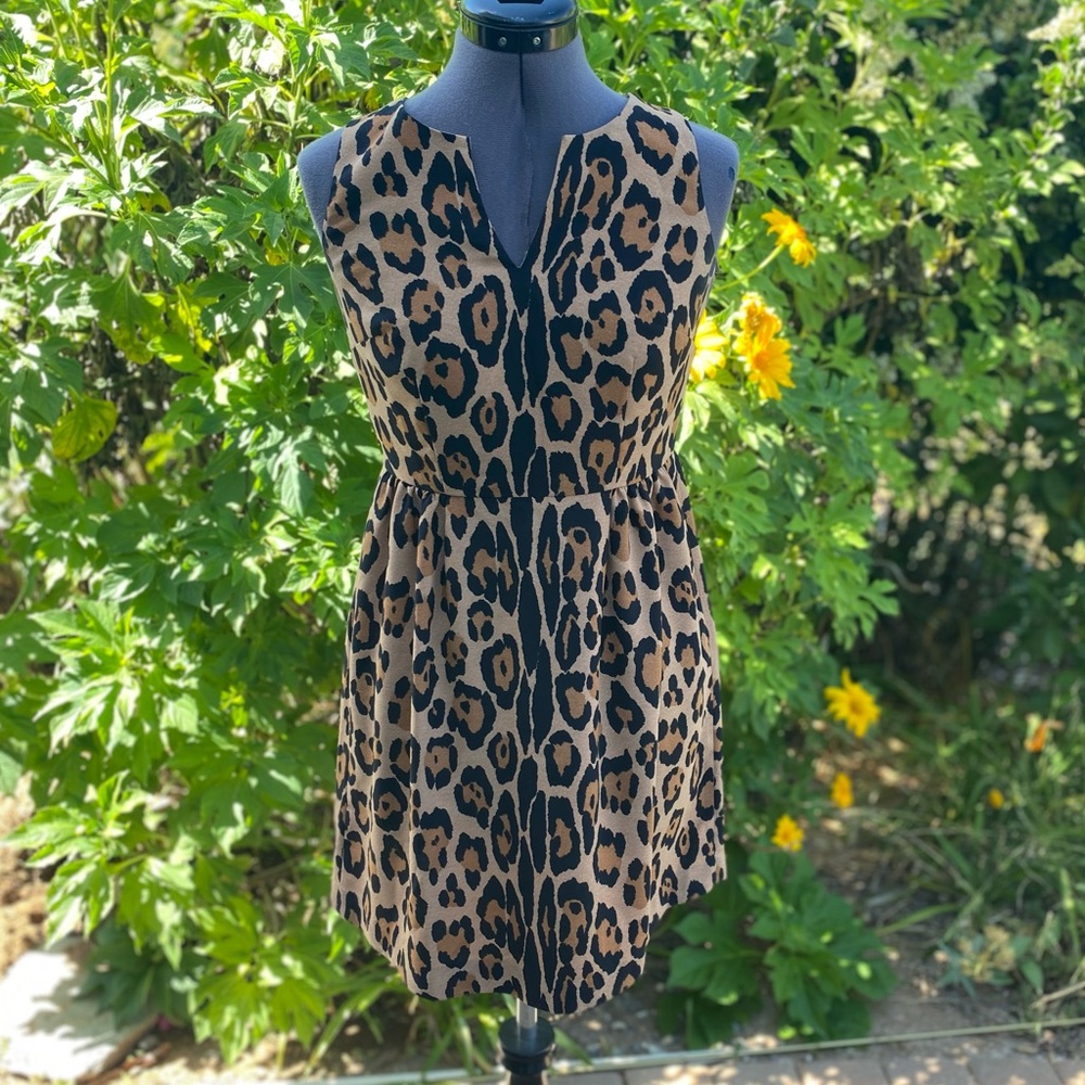 Size 0P Loft Cheetah print dress, knew length